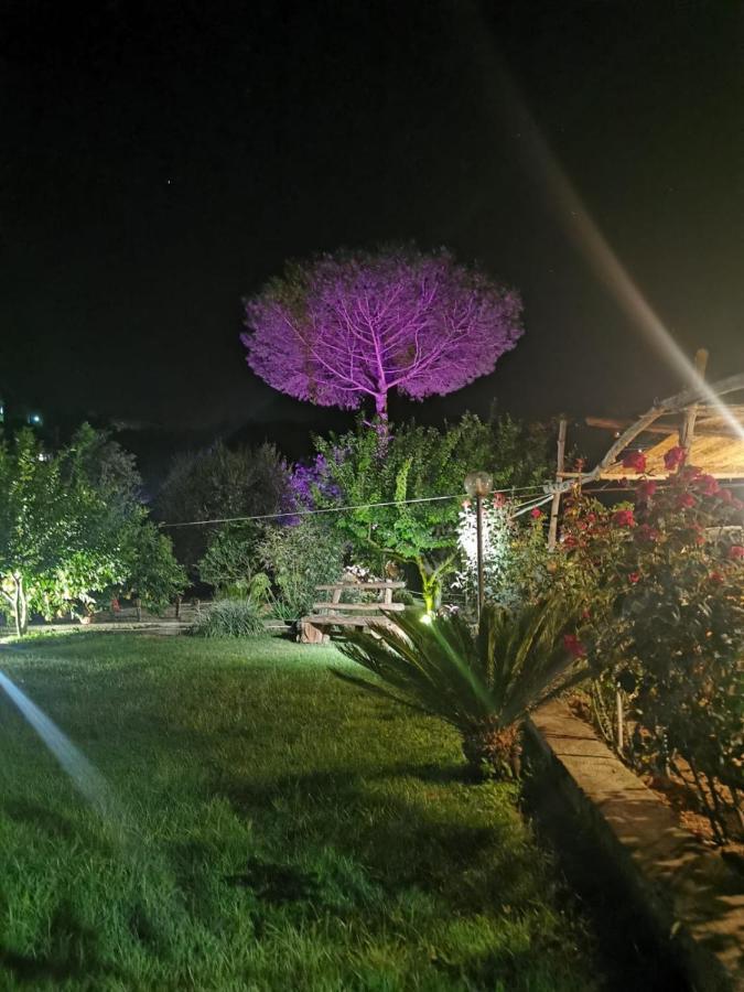 بيانو دي سورينتو L'Angolo Di Campagna المظهر الخارجي الصورة